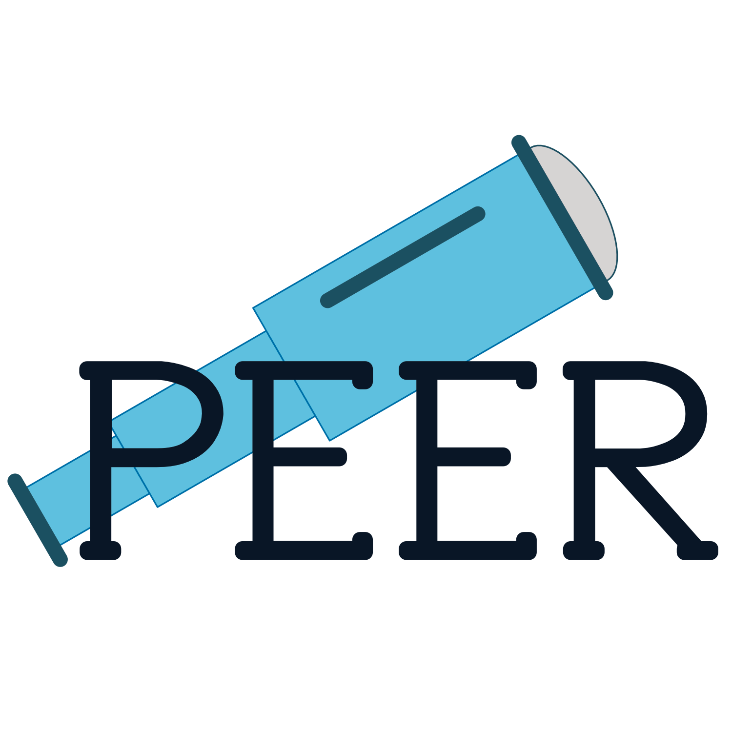 PEER logo